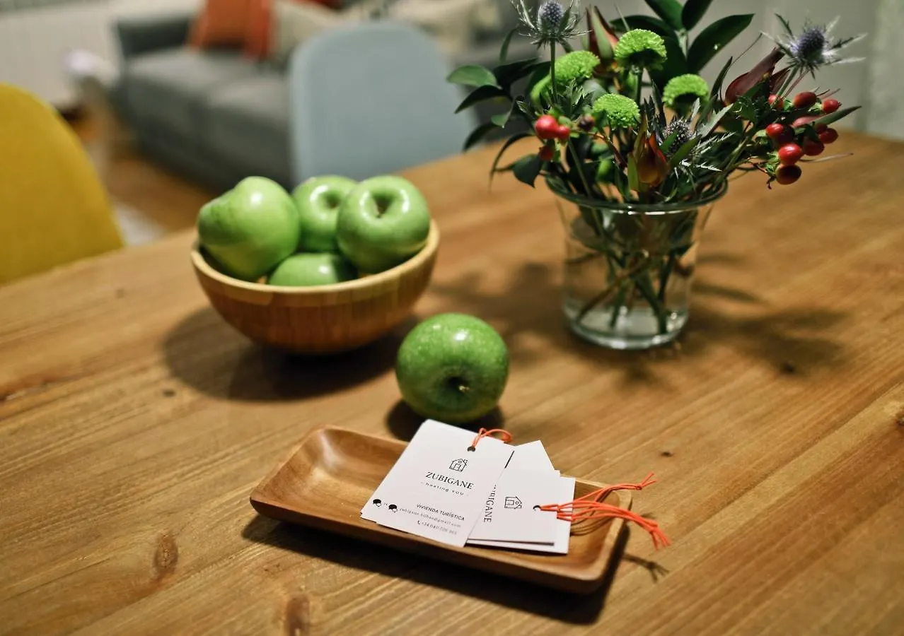 Zubigane Apartamento Junto A La Ria & Parking Bilbao Spanien